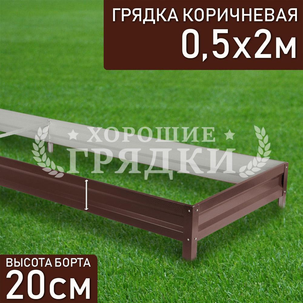 Коричневая-20-05-2